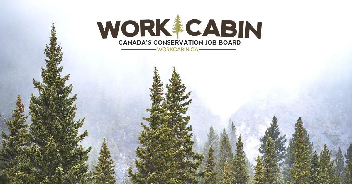 Environmental, Conservation, Wildlife Jobs | WorkCabin.ca