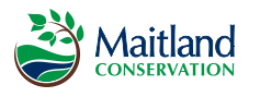 Maitland Conservation