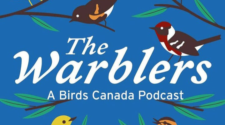 The Warblers bird conservation podcast