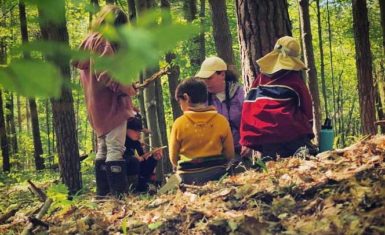 Canadian Forest School