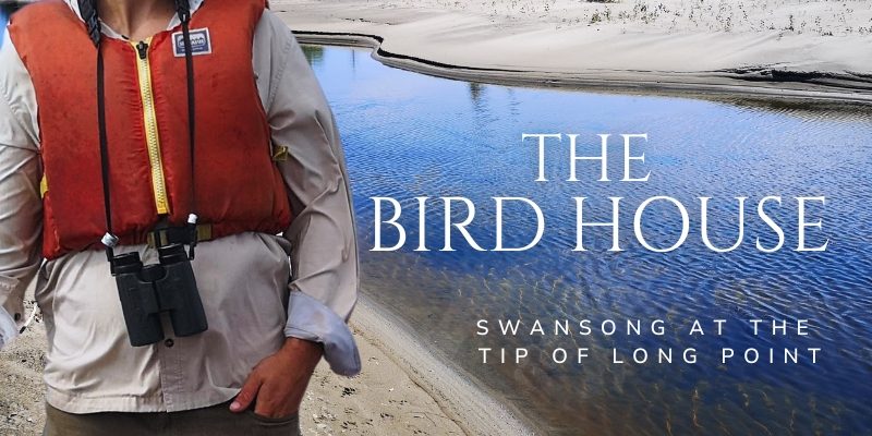 The Bird House documentary