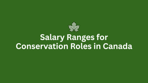 Salary ranges for conservation jobs
