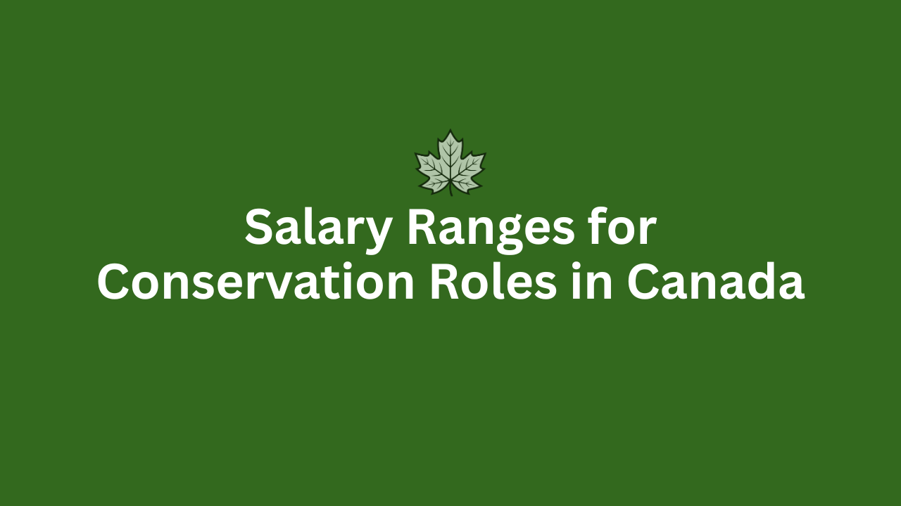 Salary ranges for conservation jobs
