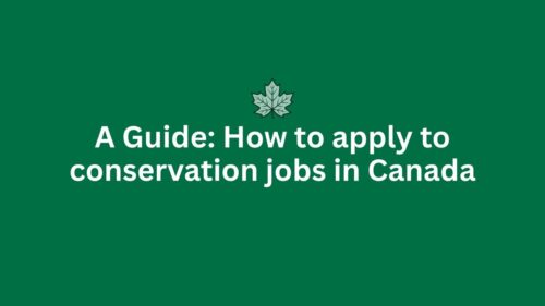 How to apply to conservation jobs in Canada