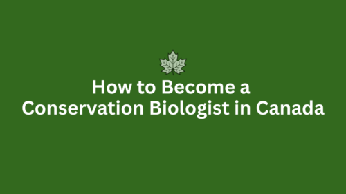 How to Become a Conservation Biologist in Canada