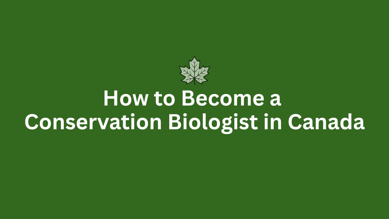 How to Become a Conservation Biologist in Canada
