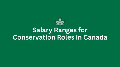 Salary ranges for conservation jobs in Canada