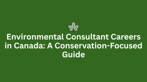 Environmental Consultant Careers in Canada