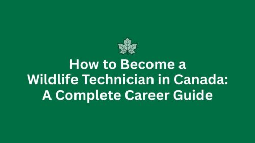 How to Become a Wildlife Technician in Canada: A Complete Career Guide