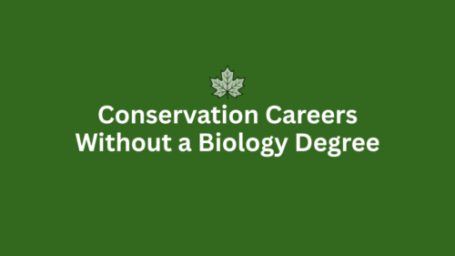Conservation Careers Without a Biology Degree