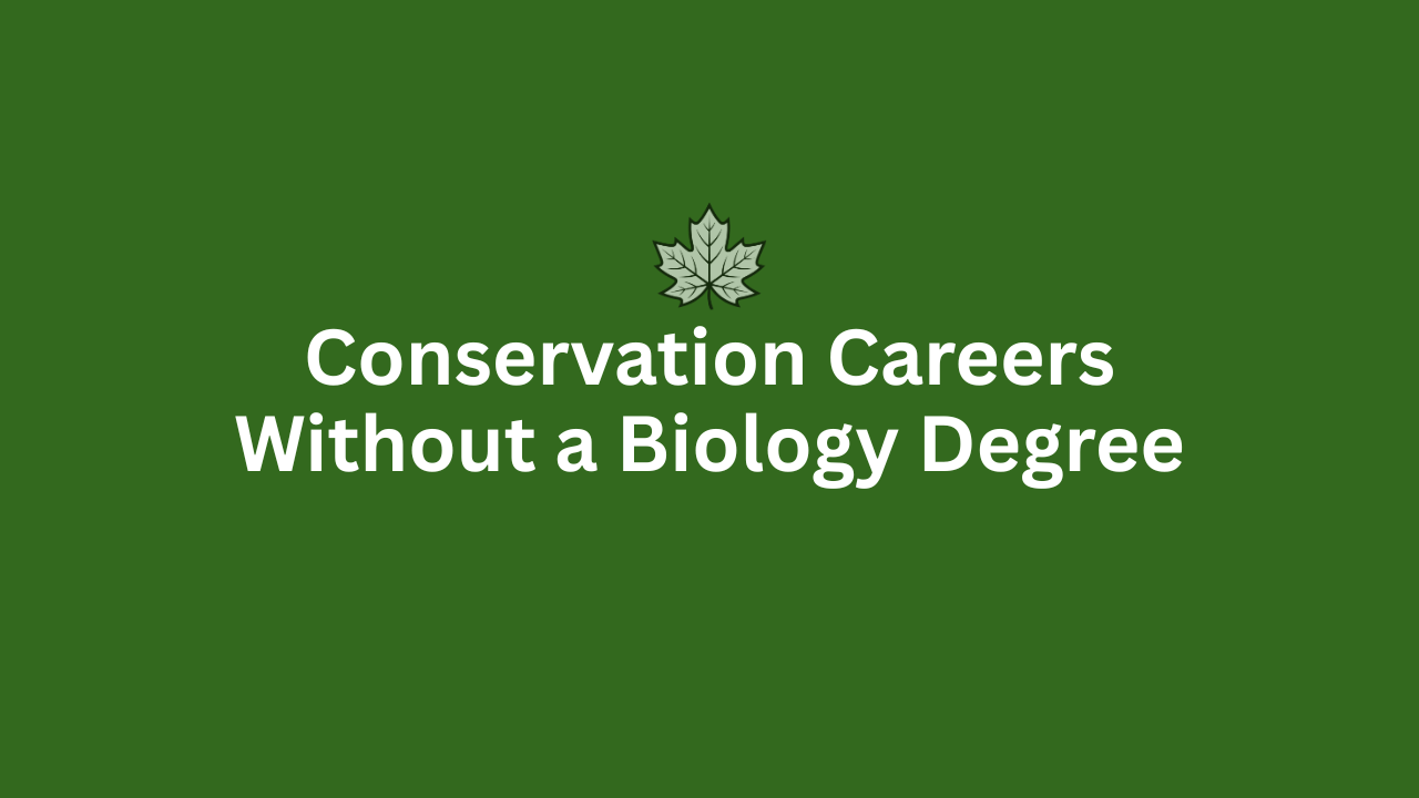Conservation Careers Without a Biology Degree