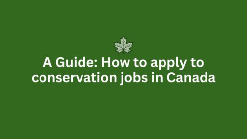 How to apply to conservation jobs