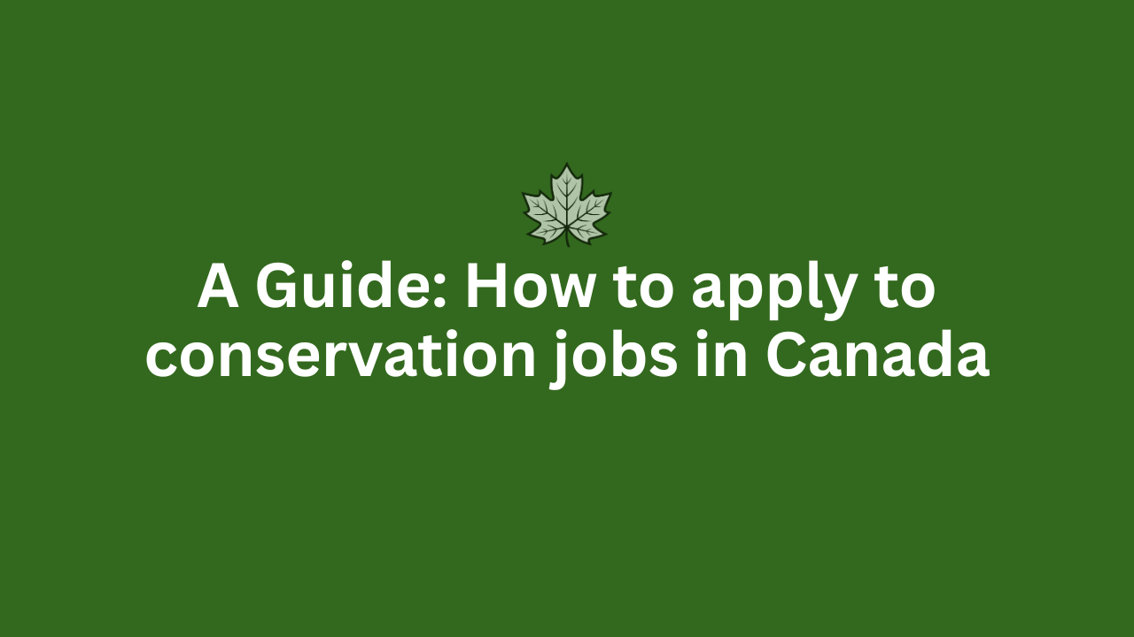How to apply to conservation jobs