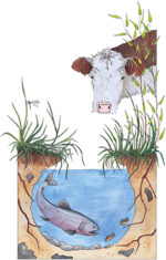 AB Riparian Habitat Management Society - Cows and Fish
