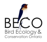 Bird Ecology and Conservation Ontario