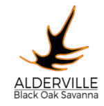 Alderville Black Oak Savanna