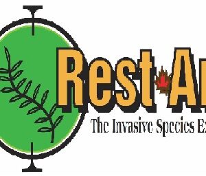 Restoration Artists Inc