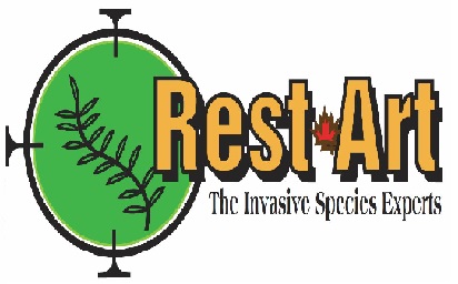 Restoration Artists Inc