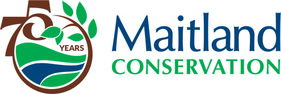 Maitland Conservation