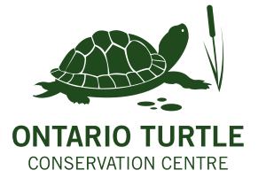 Ontario Turtle Conservation Centre