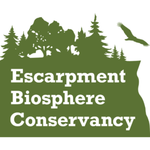 Escarpment Biosphere Conservancy