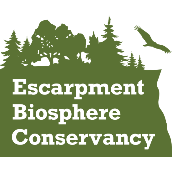 Escarpment Biosphere Conservancy