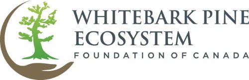 Whitebark Pine Ecosystem Foundation of Canada
