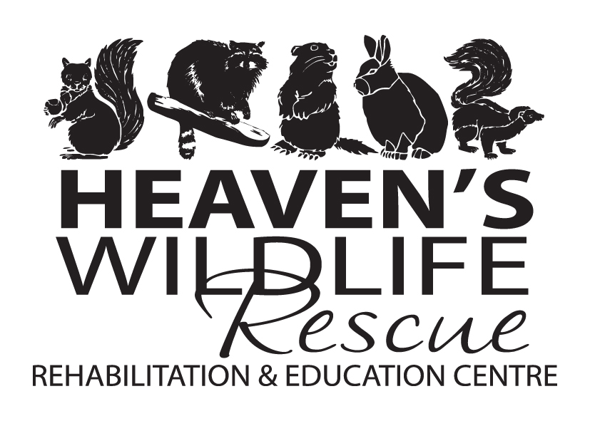 Heaven’s Wildlife Rescue Rehabilitation & Education Centre