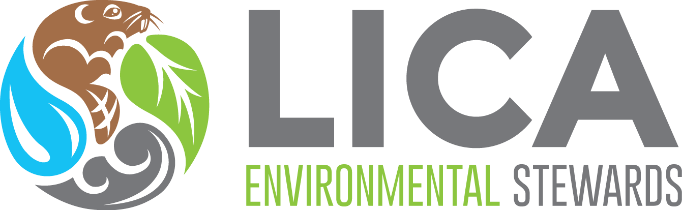 Lakeland Industry & Community Association